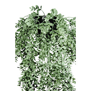 Yapay Çiçek Jumbo Saksılı Pastel Yeşili Okaliptus Şimşir Sarkıtı