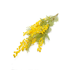 Yapay Çiçek 85 Cm Mimoza Dalı