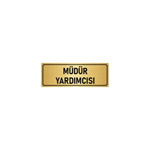 Metal Yönlendirme Levhası, Departman Kapı İsimliği Müdür Yardımcısı 10x20 Cm Altın Renk