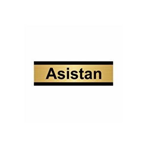 Asistan 5x20cm Altın Renk Metal Yönlendirme Levhası