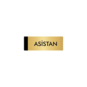 Metal Yönlendirme Levhası, Departman Kapı Isimliği Asistan 10x20 Cm Altın Renk