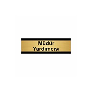 Müdür Yardımcısı 10x20cm Altın Renk Metal Yönlendirme Levhası