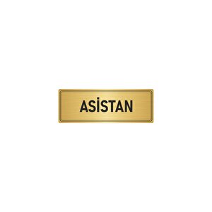 Metal Yönlendirme Levhası, Departman Kapı İsimliği Asistan 5x20 Cm Altın Renk