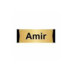 Amir 7x20cm Altın Renk Metal Yönlendirme Levhası