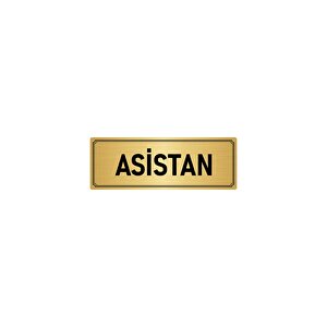 Metal Yönlendirme Levhası, Departman Kapı İsimliği Asistan 5x20 Cm Altın Renk