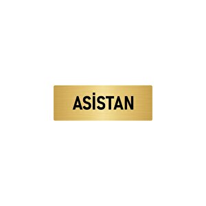 Metal Yönlendirme Levhası, Departman Kapı İsimliği Asistan 10x20 Cm Altın Renk