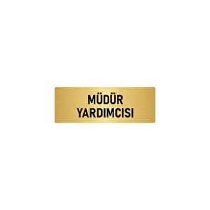 Metal Yönlendirme Levhası, Departman Kapı İsimliği Müdür Yardımcısı 7x20 Cm Altın Renk