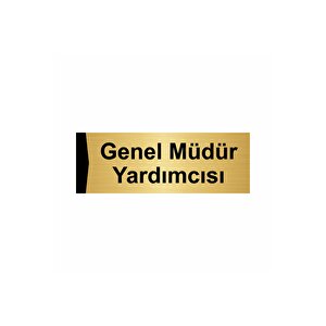 Genel Müdür Yardımcısı 10x20cm Altın Renk Metal Yönlendirme Levhası