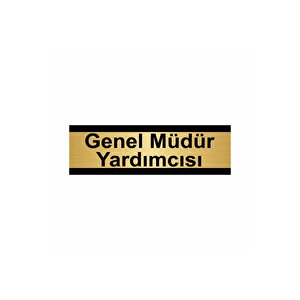 Genel Müdür Yardımcısı 10x20cm Altın Renk Metal Yönlendirme Levhası