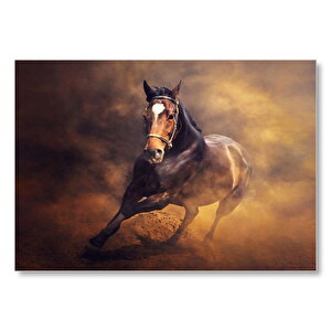Fırtına İçinde Kahve Rengi At Görseli Mdf Ahşap Tablo 50x70 cm