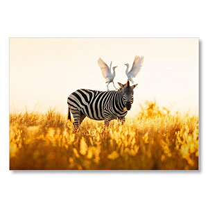 Doğada Zebra Ve Kuşlar Görseli Mdf Ahşap Tablo 50x70 cm