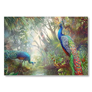 Doğada Tavus Kuşu Görseli Mdf Ahşap Tablo 35x50 cm