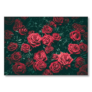 Kırmızı Güller Ve Yaprakları Görseli Mdf Ahşap Tablo 25x35 cm