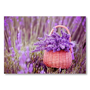 Sepette Lavantalar Mdf Ahşap Tablo 25x35 cm