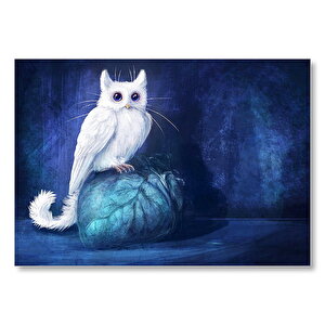Kedi Gözlü Ve Kuyruklu Baykuş Mdf Ahşap Tablo 50x70 cm