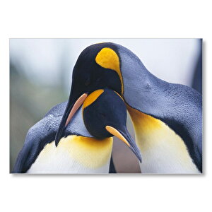 Kral Penguen Çifti Mdf Ahşap Tablo 50x70 cm