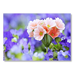 Mor Bahçenin Ortasında Güzel Portakal Çiçekleri Görseli Mdf Ahşap Tablo 25x35 cm