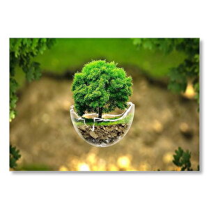 Volkanlar Harika Dünya Cam Kasede Ağaç Görseli Mdf Ahşap Tablo 25x35 cm