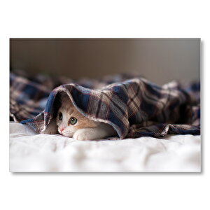 Uykulu Kedi Görseli Mdf Ahşap Tablo