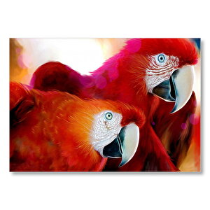 Kırmızı Papağanlar Mdf Ahşap Tablo 50x70 cm
