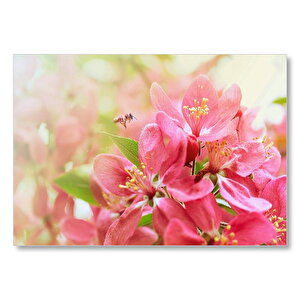 Pembe Elma Çiçeği Görseli Mdf Ahşap Tablo 50x70 cm