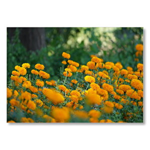 Sarı Çiçekli Çalılar Görseli Mdf Ahşap Tablo 25x35 cm