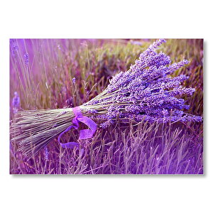 Bir Demet Lavanta Mdf Ahşap Tablo 25x35 cm