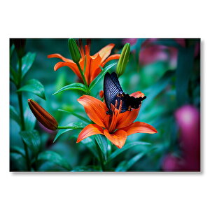 Truncu Lilyum Çiçeği Ve Mavi Kelebek Görseli Mdf Ahşap Tablo 35x50 cm