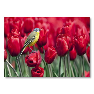 Kırmızı Gelincikler Üzerindeki Sarı Kuş Mdf Ahşap Tablo 35x50 cm