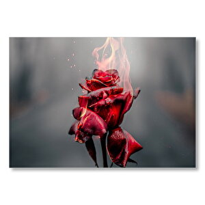 Yanan Kırmızı Gül Görseli Mdf Ahşap Tablo 50x70 cm