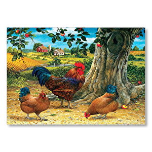 Tavuk Horoz Elma Ağacı Ev Manzarası Görseli Mdf Ahşap Tablo 35x50 cm