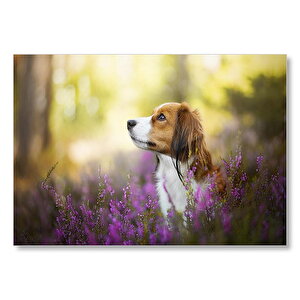 Kırlarda Cavalier Cinsi Köpek Mdf Ahşap Tablo 35x50 cm
