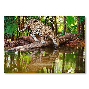 Ormanda Su İçen Leopar Görseli Mdf Ahşap Tablo 50x70 cm