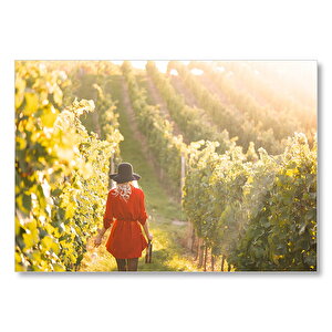 Şarap Üreticisi Kadın Üzüm Bağlarında Görsel Mdf Ahşap Tablo 35x50 cm