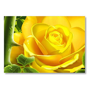 Sarı Gül Ve Diken Mdf Ahşap Tablo 50x70 cm