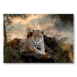 Kayalıklarda Jaguar Kara Bulutlar Görseli Mdf Ahşap Tablo 35x50 cm