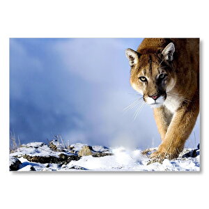 Karlı Tepedeki Puma Mdf Ahşap Tablo 50x70 cm