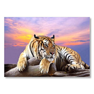 Kaplan Gün Batımı Görseli Mdf Ahşap Tablo 35x50 cm