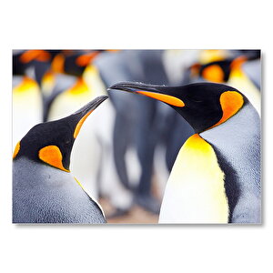 Kral Penguenler Mdf Ahşap Tablo 25x35 cm