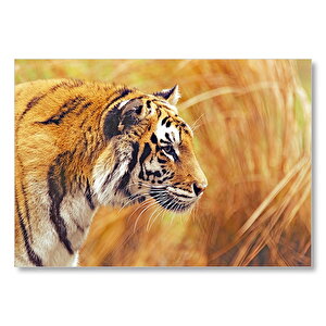 Sarı Otların Arasındaki Kaplan Mdf Ahşap Tablo 35x50 cm