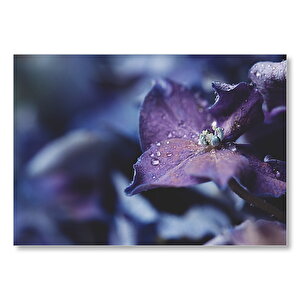 Mor Çiçek Ve Su Damlaları Yakın Plan Mdf Ahşap Tablo 35x50 cm