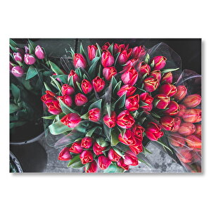 Kırmızı Lale Demeti Mdf Ahşap Tablo 35x50 cm