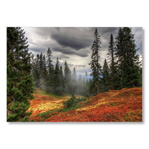 Orman Kara Bulutlar Turuncu Çiçekler Mdf Ahşap Tablo 35x50 cm