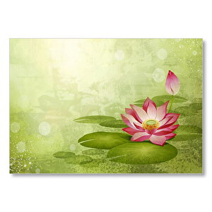 Lotus Çiçeği Ve Yeşil Zemin Mdf Ahşap Tablo 50x70 cm