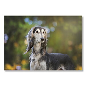 Uzun Saçlı Süslü Köpek Mdf Ahşap Tablo 35x50 cm