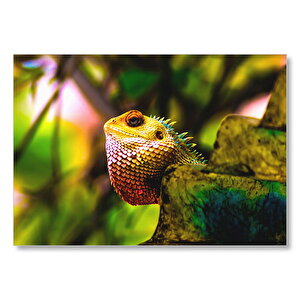 Doğal Yaşamda İguana Mdf Ahşap Tablo 50x70 cm