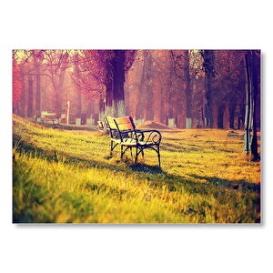 Ağaçlar Bank Doğa Huzur Mdf Ahşap Tablo 25x35 cm