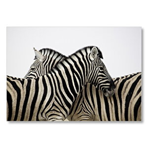 Yanyana Bir Çift Zebra Mdf Ahşap Tablo 50x70 cm