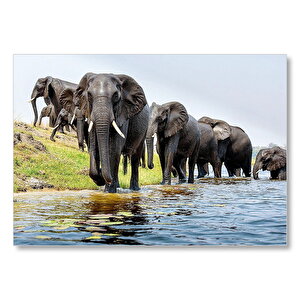 Nehir Kenarında Filler Mdf Ahşap Tablo 50x70 cm