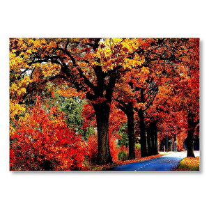 Ağaçlı Yol Ve Sonbahar Yaprakları Mdf Ahşap Tablo 25x35 cm
